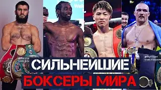 ТОП 10 СИЛЬНЕЙШИХ БОКСЕРОВ СОВРЕМЕННОСТИ