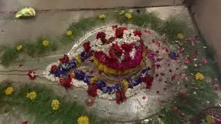 Har har mahadev shambhu .| ओम् नमः शिवाय Mahashiv ratri
