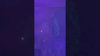 lil bo peep - benz truck concert 