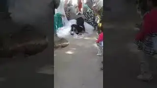 BOLIB TURADI NAILOJ