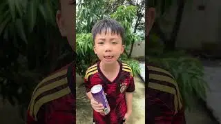 Avocado from Mexico 🥑🥑 Thoc TV 