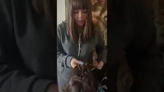 дистанционное обучение ролик 7
