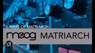 Moog Matriarch Only | Ambient Soundscape