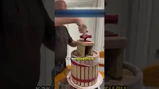 Процесс изготовления настоящего вина🤯