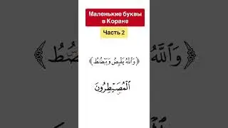 Small letters in the Quran