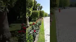 Отель Meder Resort