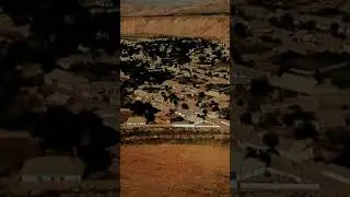 Кишлокаки ман буи чаппоти  дора
