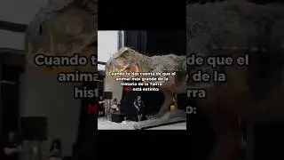 Más grande que cualquier dinosaurio… y todavía está vivo 😳