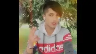 Кунтаи тожикистон , голубой тожик