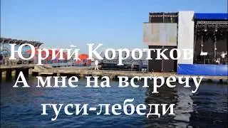 Юрий Коротков   Мне на встречу гуси лебеди