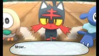 My Litten tribute
