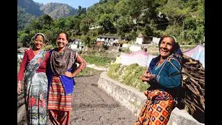 Kharged Village   ||   Rural Life In India   ||   Indian Village Life