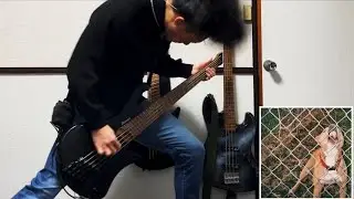 Knocked Loose - Small Victories  ||  Bass Cover