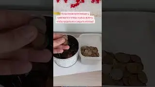Рубрика 
