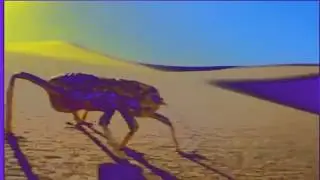 Neighborhood Animals - The Cricket Desert Effects (Sponsored By Preview 2 Horrid Henry Effects)