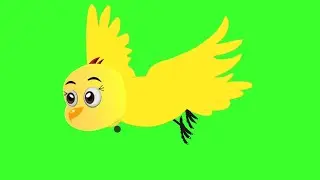 Silent Flying Tuni chidiya in green screen free copy right