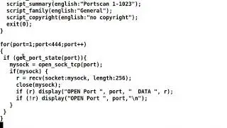 OpenVAS test custom portscan NASL