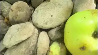 Орманда / В лесу