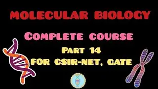 ALTERNATIVE SPLICING  | CSIR NET | GATE | IIT JAM | DBT | NEET | ICMR | MSC | B.SC
