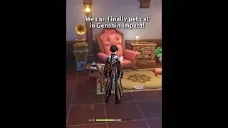 We can finally pet cat in Genshin Impact!!