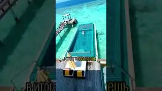 Смотри комментарий👊🏻
