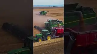 Wheat Harvest South Africa  #farming #johndeere #agriculture