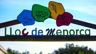 Fotografiar en el zoo