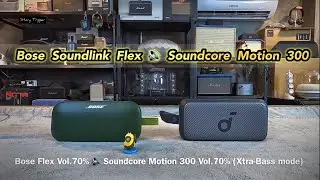 Bose Soundlink Flex vs Soundcore Motion 300