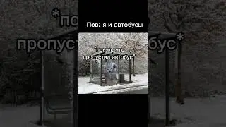Пов: я и автобусы #shorts #short #memes #meme #cat #мем #мемы #кот #коты