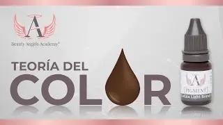 Teoría del color | Beauty Angels Academy Latino