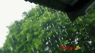 Peaceful & Epic Rainfall For Curing Insomnia