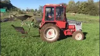 работа трактора т25