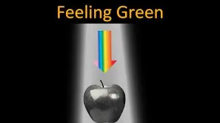 Why are plants GREEN?