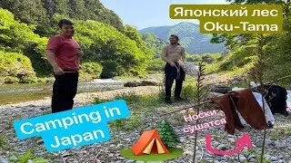 Шашлычок в японском лесу | Japan camping