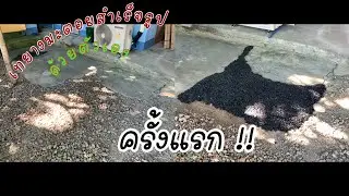 เทยางมะตอยสำเร็จรูป ด้วยตัวเอง