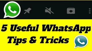 WhatsApp 5 Useful tips & tricks || 5 Useful WhatsApp settings