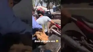 Funny video