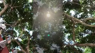 Overthinking (Original song)
