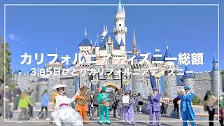 カリフォルニアディズニーいくらかかる？🐭💸3泊5日1人ディズニーの総額🇺🇸