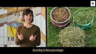 The Fundamental Principles of Composting