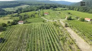 Terrabike - Viničný špeciál u Antona Uhnáka