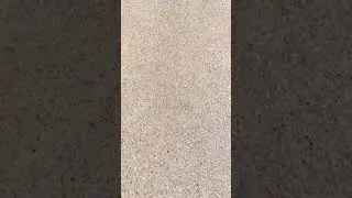 Concrete Pressure Washing Results - 19