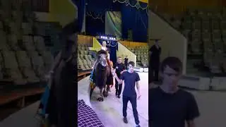 КАТАЕМСЯ НА ВЕРБЛЮДАХ! АРИНА И МАРИ!