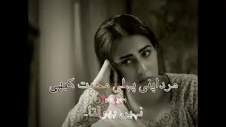 Parizaad Drama One Of The Best Dialogue | Parizaad Motivational dialogues | Mix Videos Land