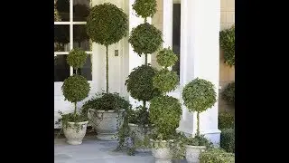 Forgot The Same Old Topiary - Do This On Your Front Porch Instead