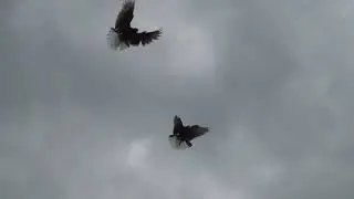 На следующий день......
