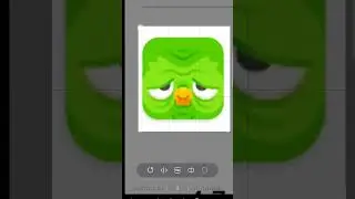 Duolingo changed their logo! @Vinamilkorginalofficial1_24 @kcs_03 @Vinamilkoriginalofficial1_24