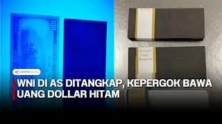 WNI di AS ditangkap karena bawa uang dollar hitam