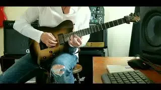 ESP TE 1000 Black Natural Burst + Evertune Bridge