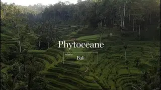 Destination BALI - Enveloppement et Massage